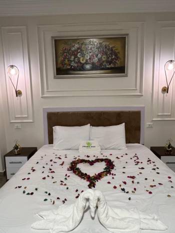 Deluxe Queen Suite4